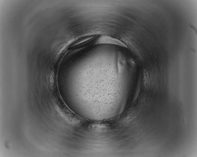 X0000099430208200805231701