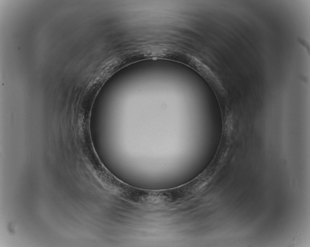 X0000099430209200805231701