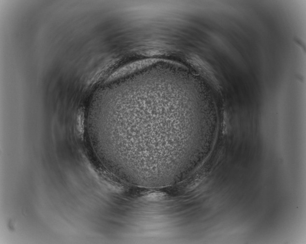 X0000099430210200805231701
