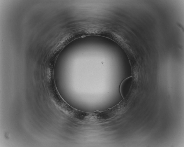 X0000099430211200805231701