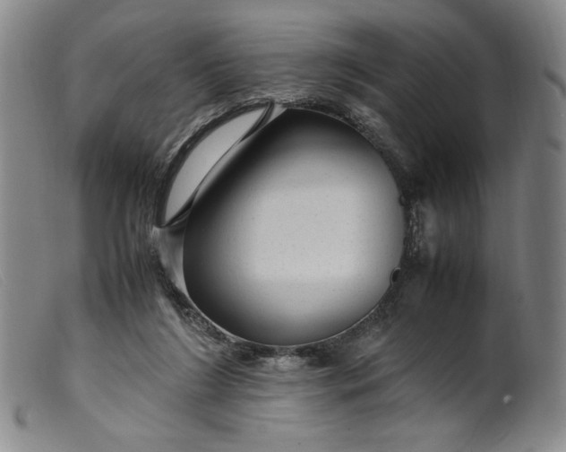 X0000099430212200805231701