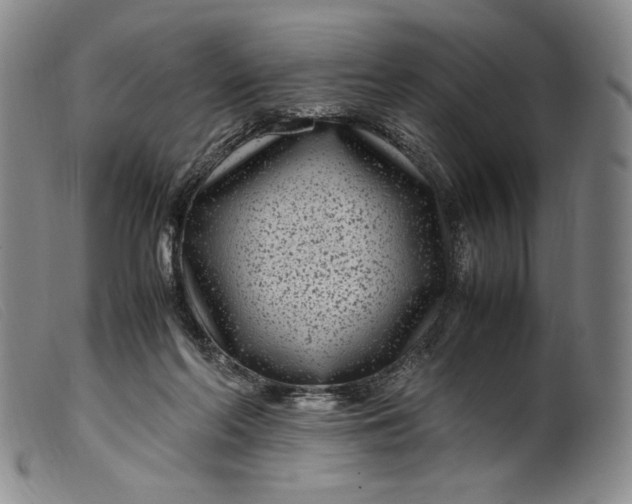 X0000099430214200805231701