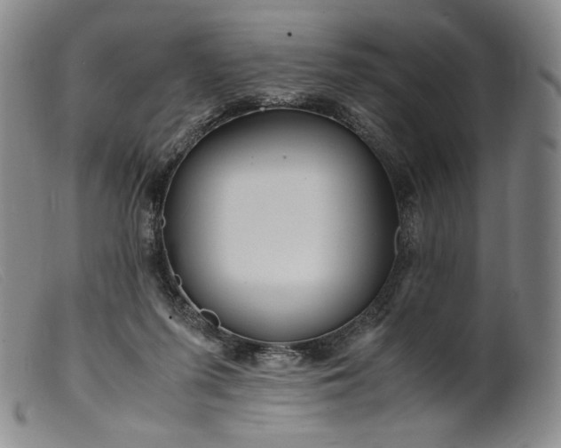 X0000099430215200805231701