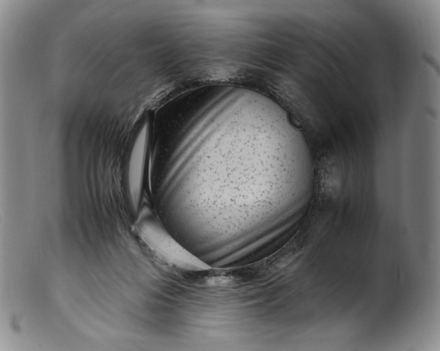 X0000099430216200805231701