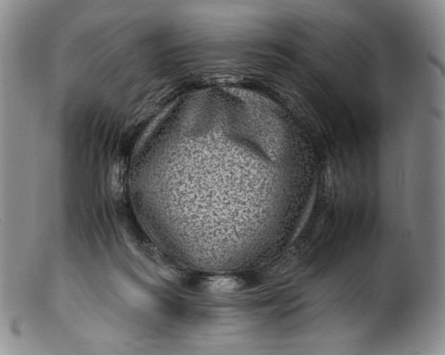 X0000099430218200805231701