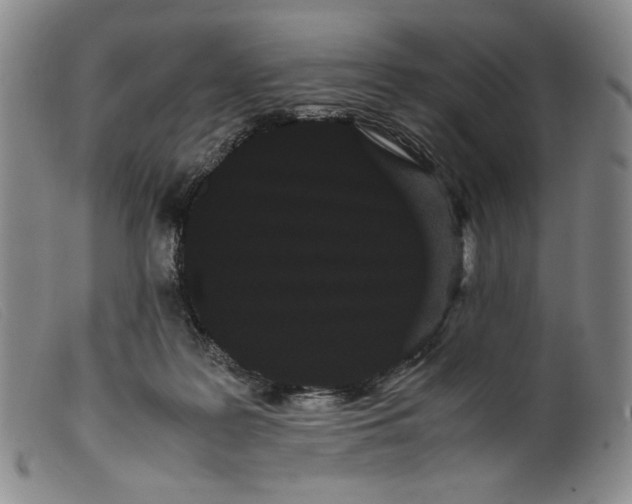 X0000099430219200805231701