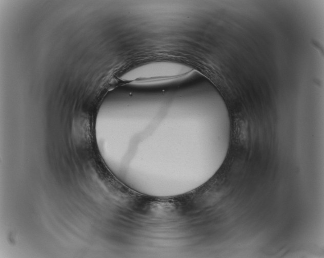 X0000099430220200805231701