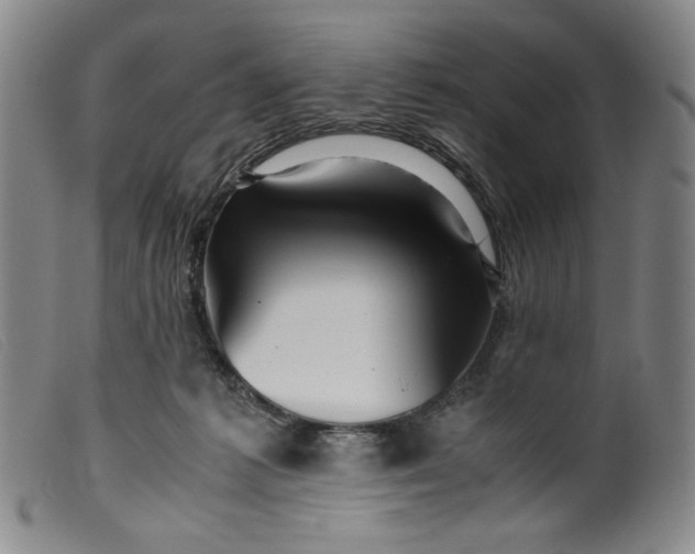 X0000099430221200805231701