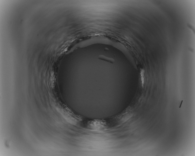 X0000099430223200805231701