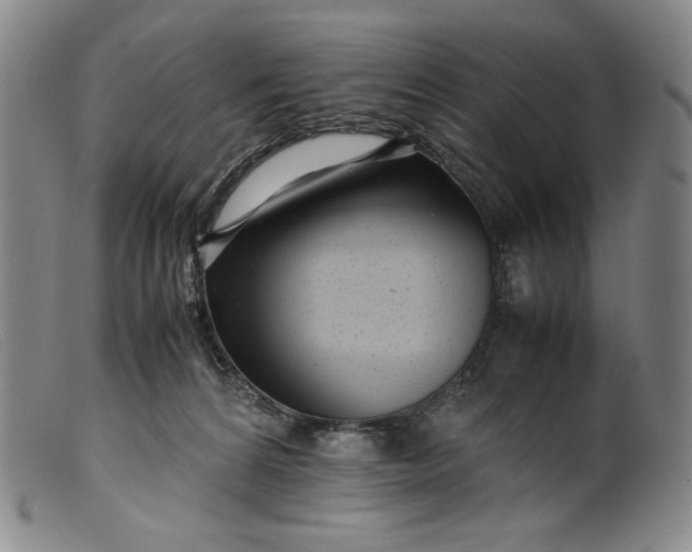 X0000099430224200805231701