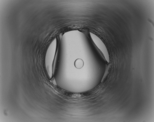 X0000099430227200805231701
