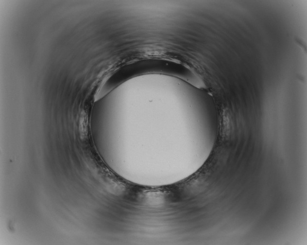 X0000099430228200805231701