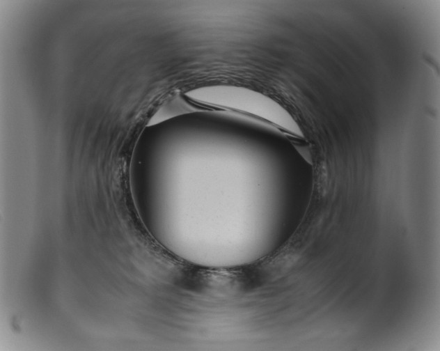 X0000099430229200805231701