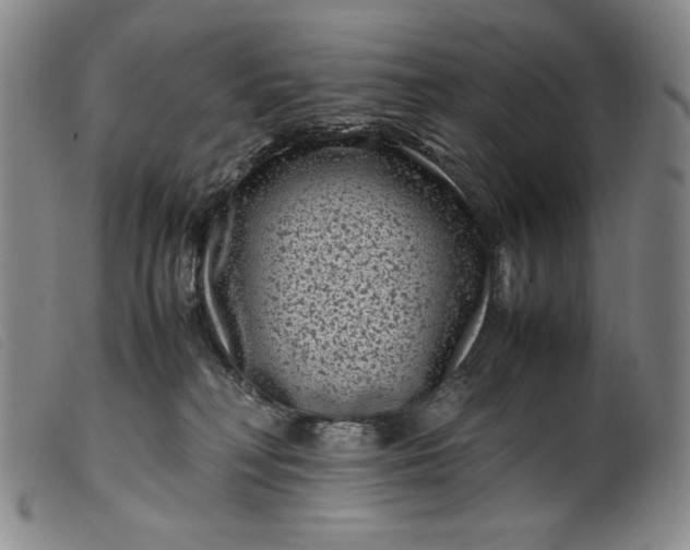 X0000099430230200805231701