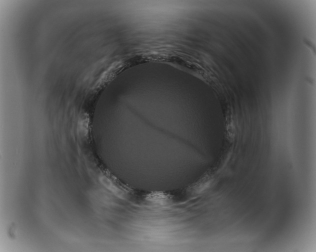X0000099430231200805231701