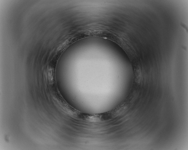 X0000099430232200805231701