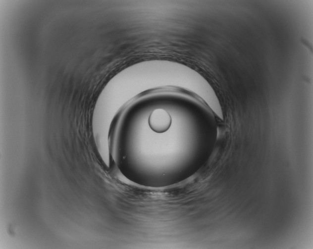 X0000099430233200805231701