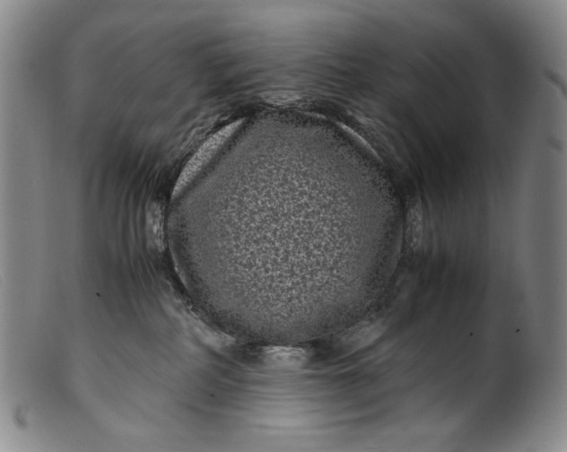 X0000099430234200805231701