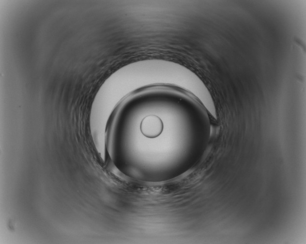 X0000099430235200805231701