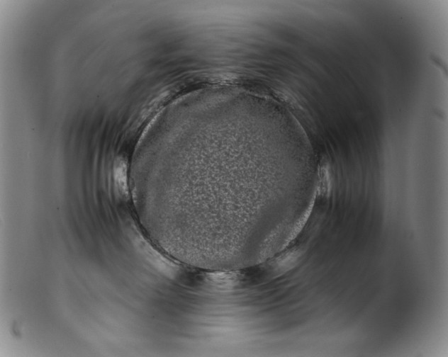 X0000099430238200805231701