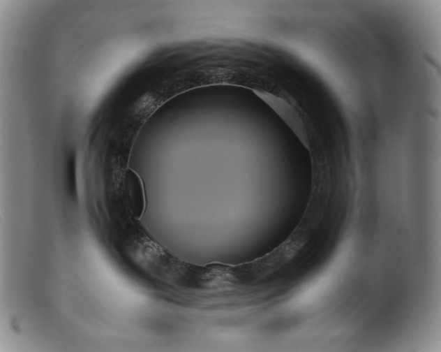 X0000099430239200805231701