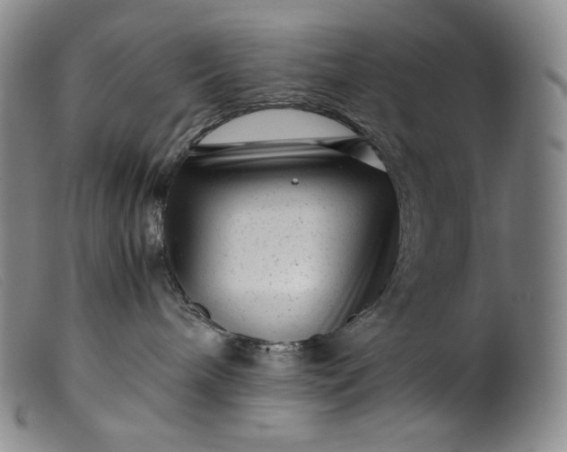 X0000099430240200805231701