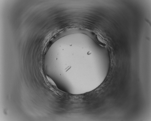 X0000099430241200805231700
