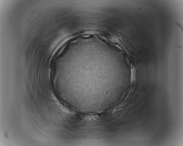 X0000099430243200805231700