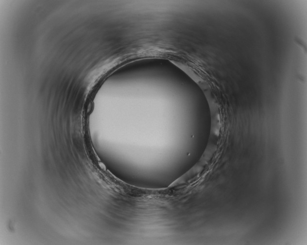 X0000099430244200805231700