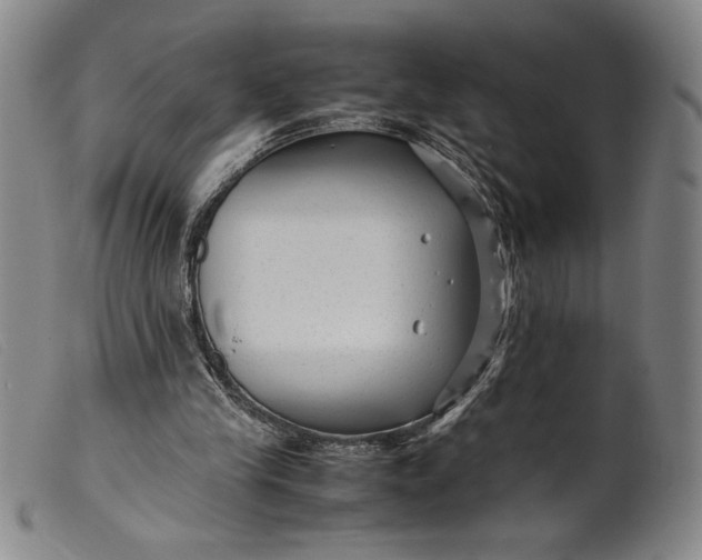 X0000099430245200805231700