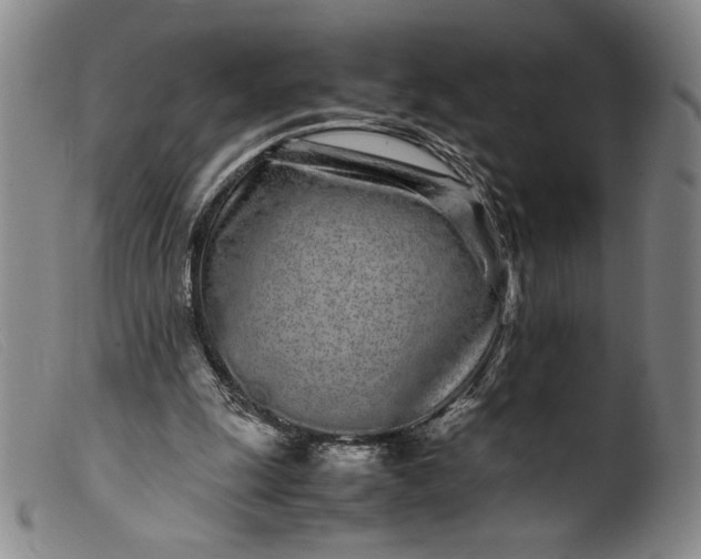 X0000099430247200805231700