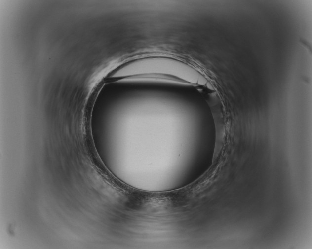 X0000099430248200805231700