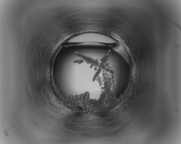 X0000099430249200805231700