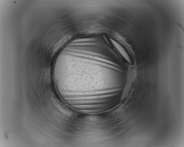 X0000099430250200805231700