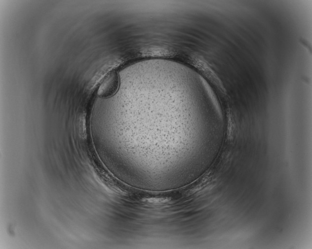 X0000099430251200805231700