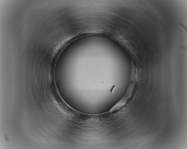 X0000099430252200805231700
