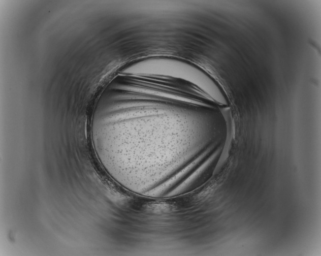X0000099430253200805231700
