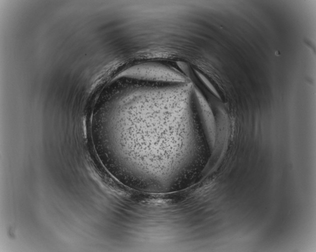 X0000099430254200805231700