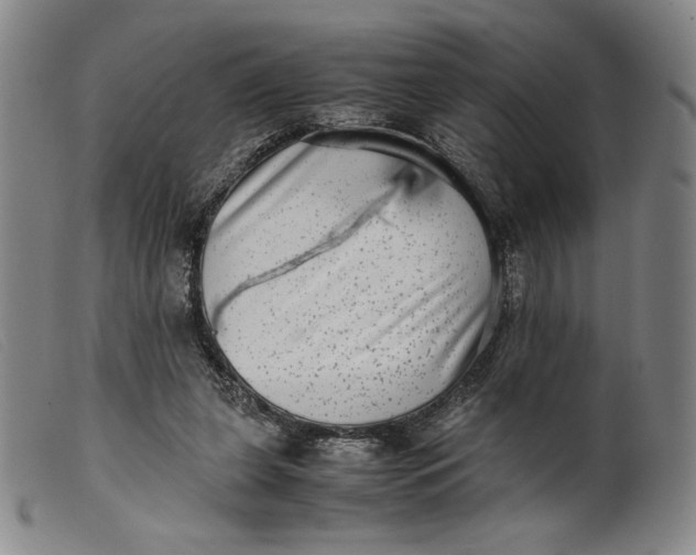 X0000099430255200805231700