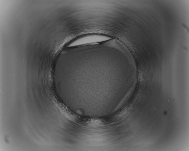 X0000099430256200805231700