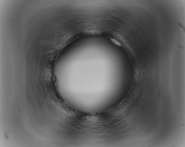 X0000099430259200805231700