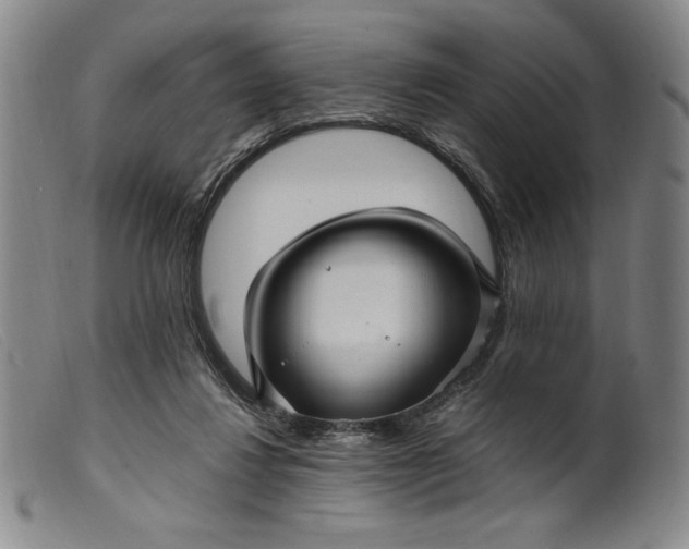 X0000099430260200805231700