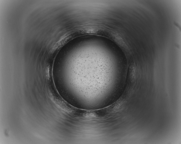 X0000099430262200805231700