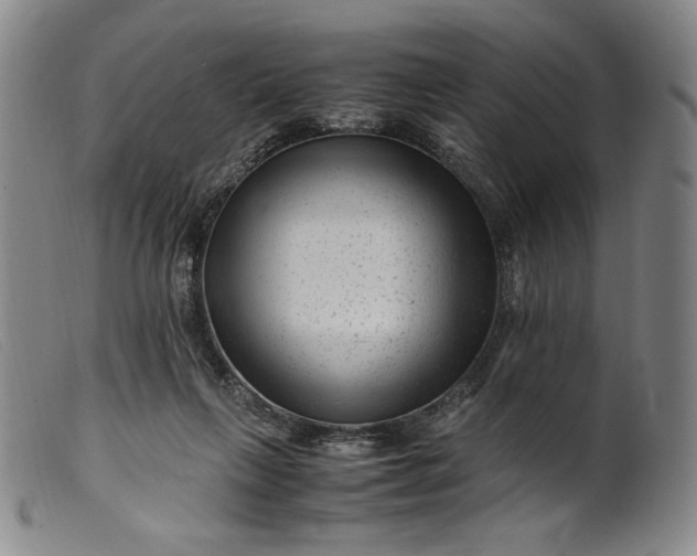 X0000099430263200805231700