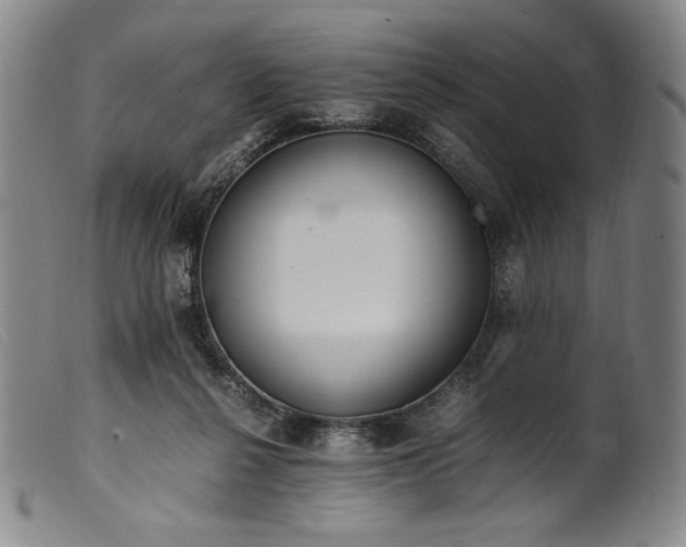 X0000099430264200805231700