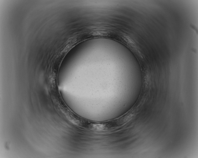 X0000099430265200805231700