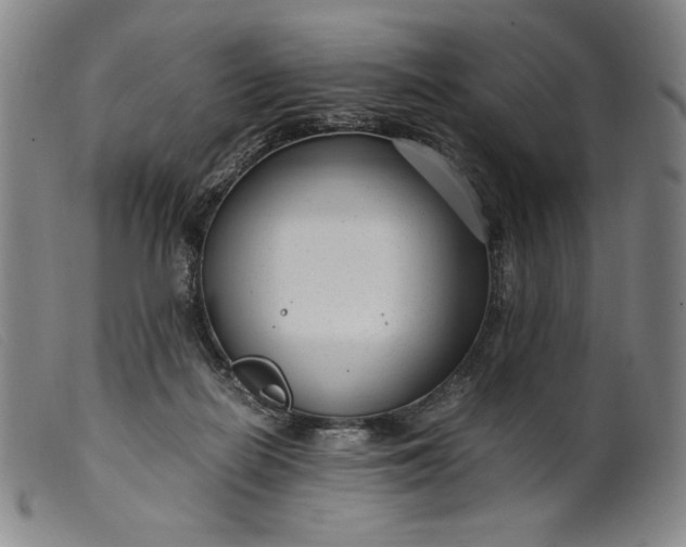 X0000099430266200805231700