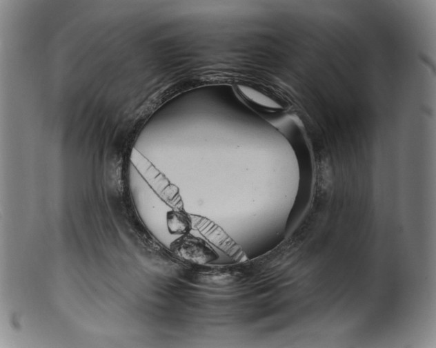 X0000099430267200805231700