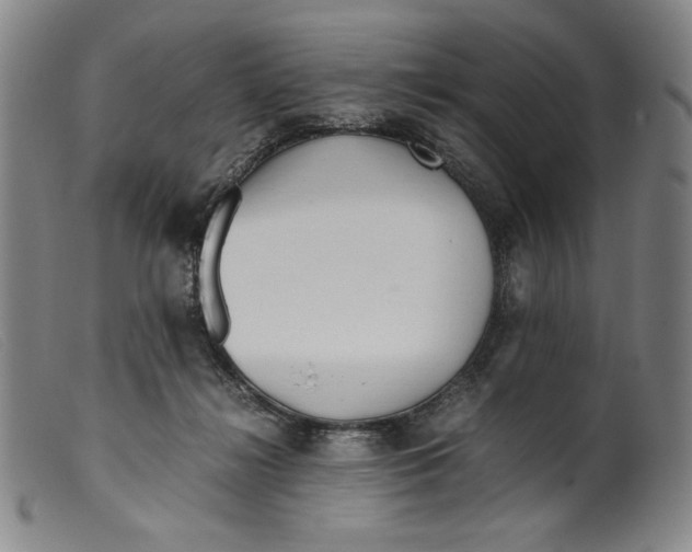 X0000099430268200805231700
