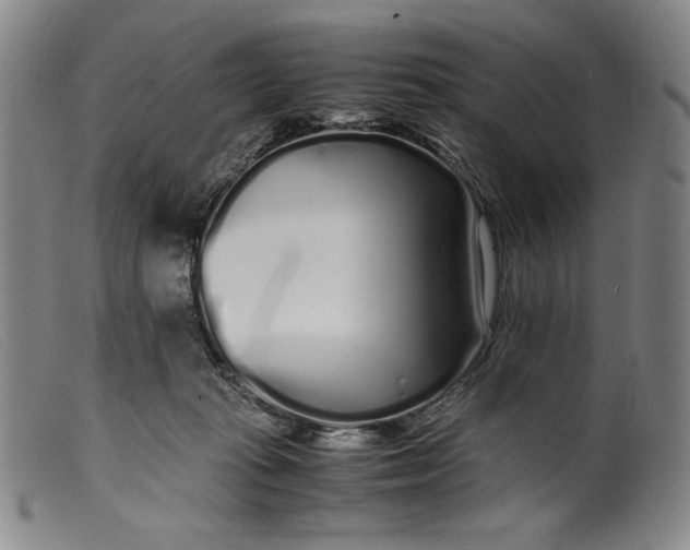 X0000099430269200805231700